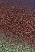 Cargar imagen en el visor de la galería, Crackle Effect Spray